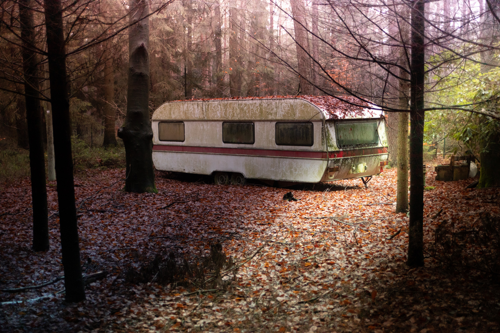Trailer in the woods...