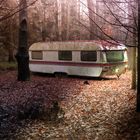 Trailer in the woods...