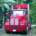 trailers kenworth w900