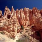 Trails im Bryce Canyon