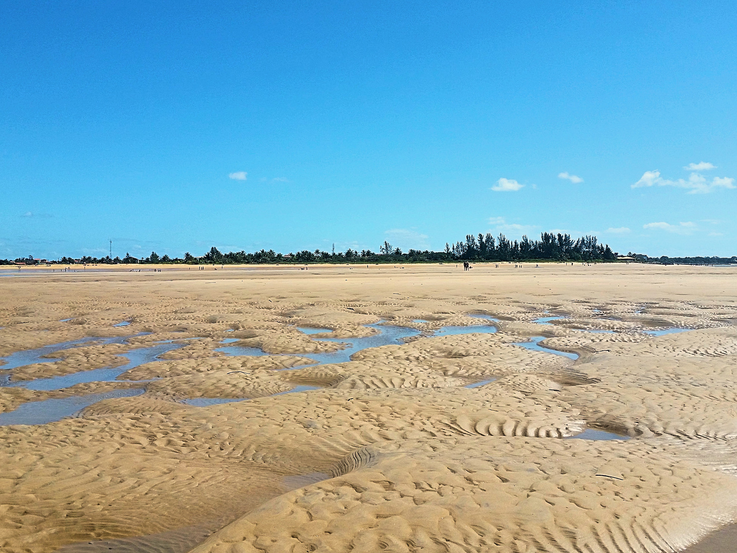 Trails in the sand 