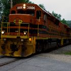 Train 3806