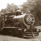 train
