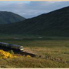 train approaching the pass of Drumochter 3