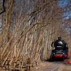 Train at Naturpark Südgelände