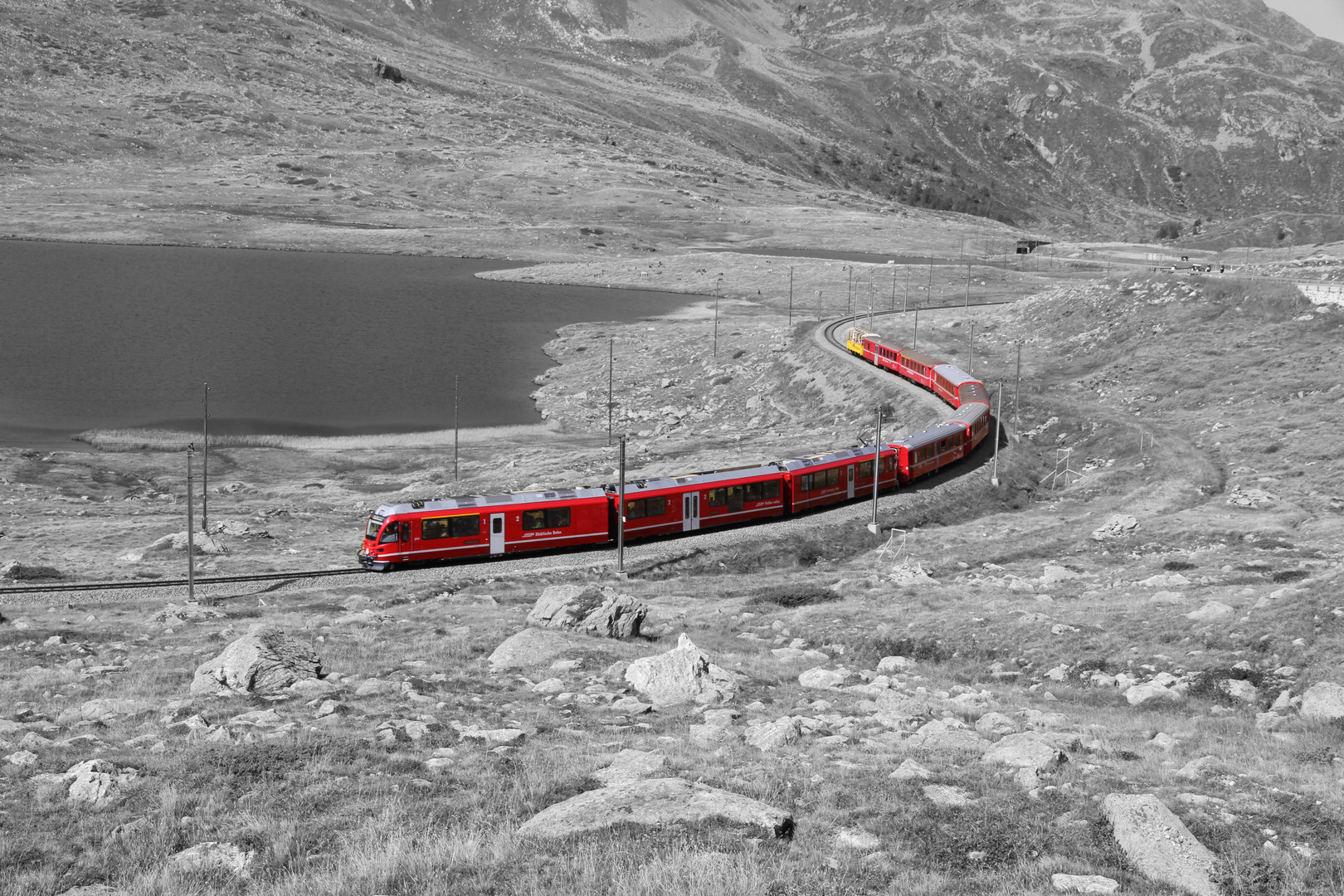 Train @ Bernina