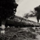 Train @Bharatpur