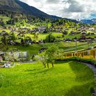 Train de montagne