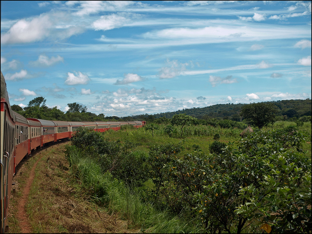 Train in Northern Cameroun / Savanne