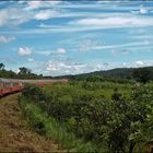 Train in Northern Cameroun / Savanne