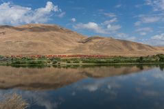 Train on the River Banks in the middle of nowhere