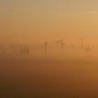 train ride to Naples in the dawn