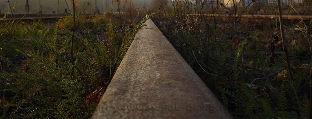 Train To Nature