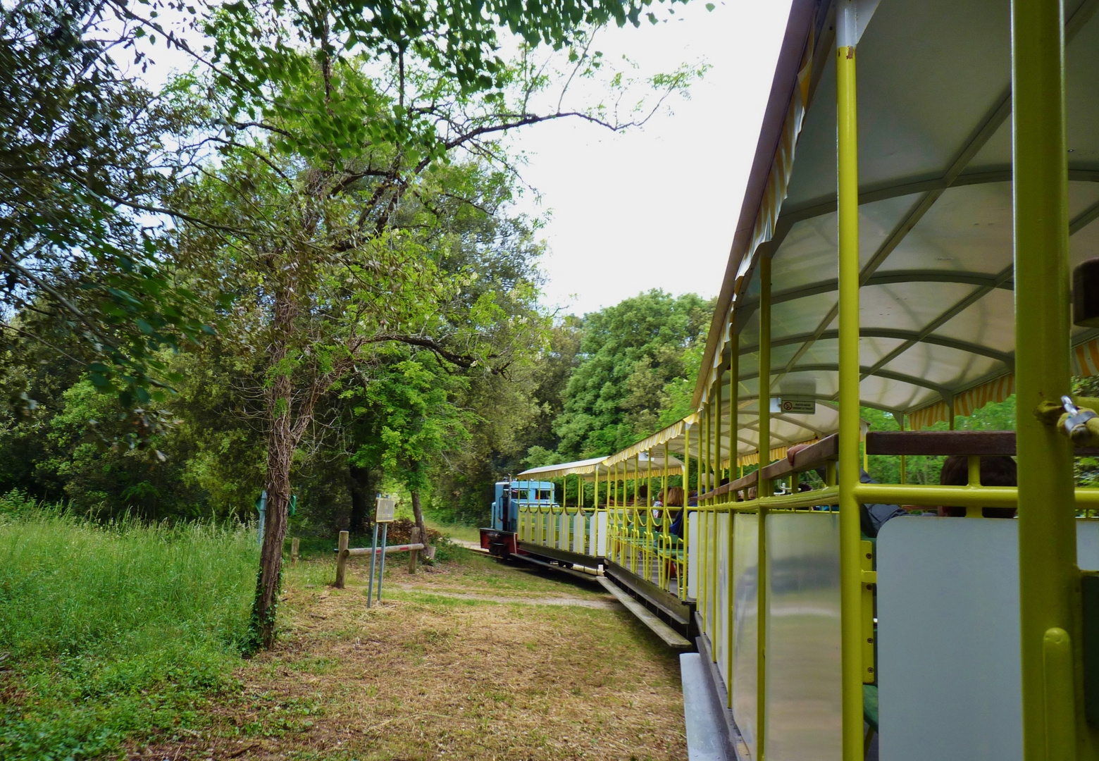 train touristique de l'ile d'Oléron traversant la forêt de St-Trojan