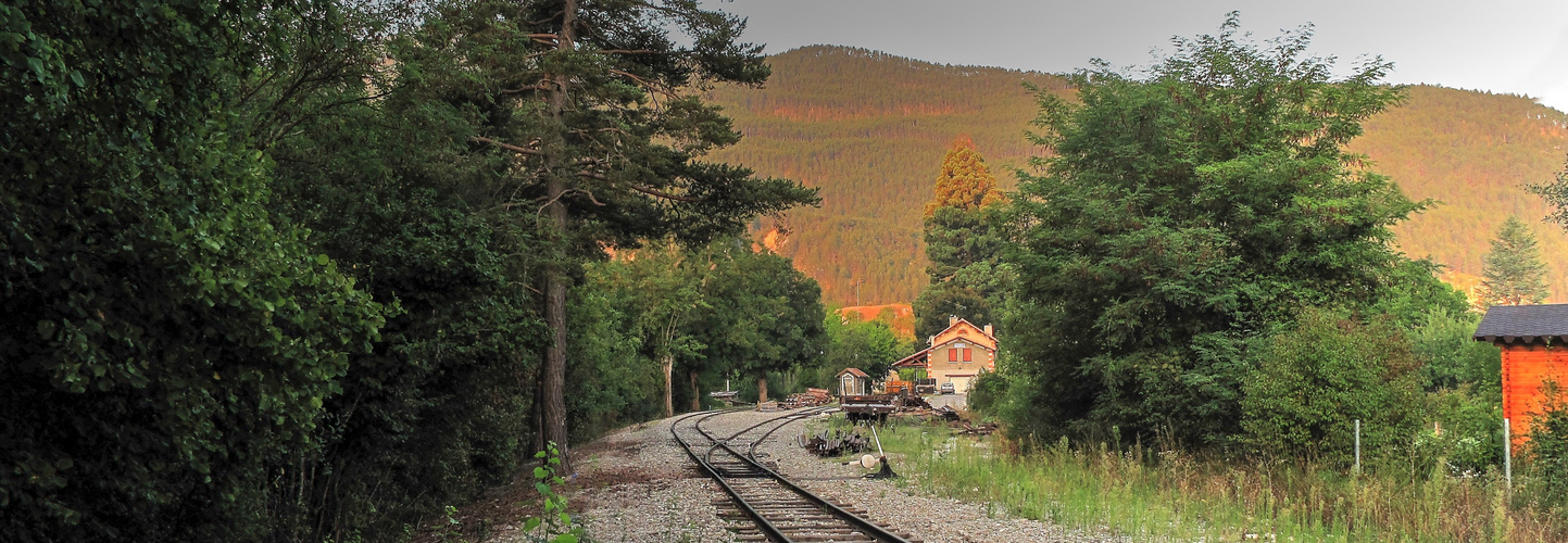 TRAIN TOURISTIQUE DES PIGNES