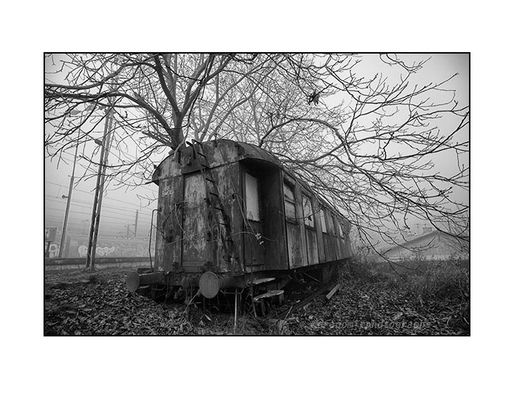 Train Tree