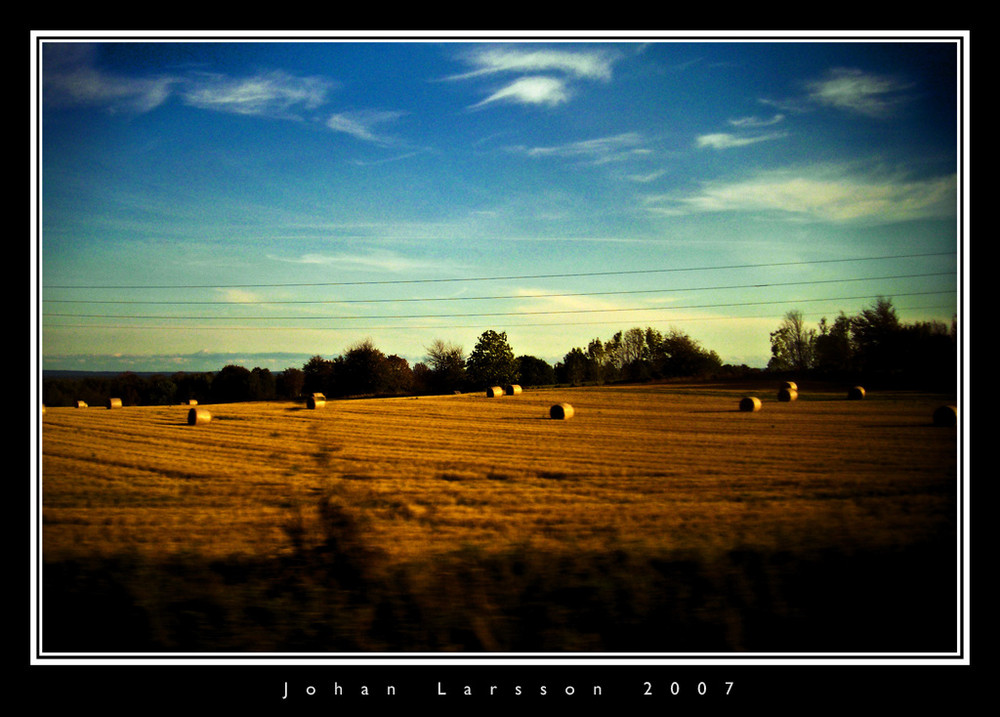 Train View