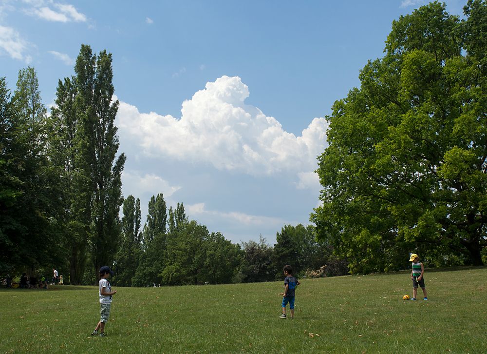 training der nationalmannschaft