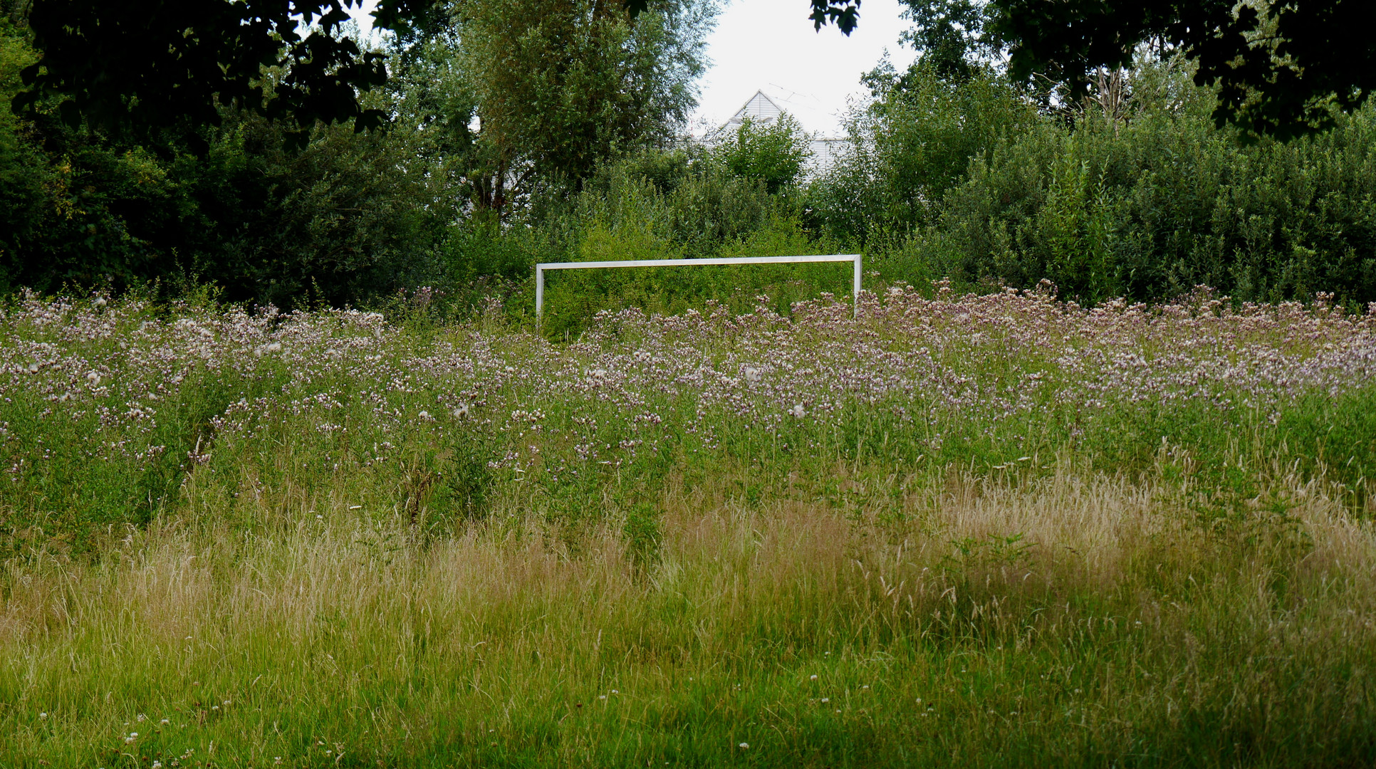 training fällt aus (2)