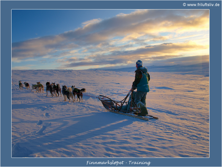 Training fuer den Finnmarksløpet