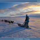 Training fuer den Finnmarksløpet