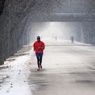 Training für den Wien Marathon