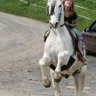 Training für die Ritterspiele