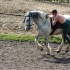 Training für die Ritterspiele in Satzvey 01