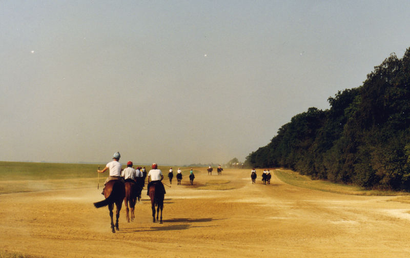 training ground