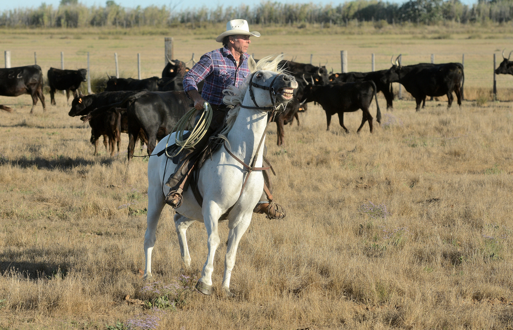 Training in der Camargue