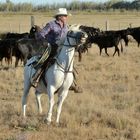 Training in der Camargue