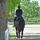 Training in der Vergangenheit 