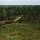 Training ways on Paloheinä forest