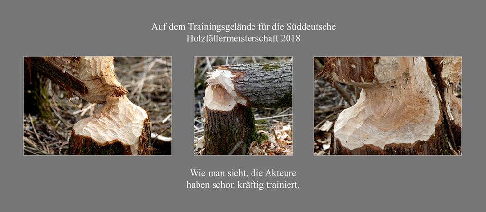 Trainingsgelaende