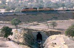 Trains above the Tunnel pulling empty container cars up the hill of the Tehachapi Loop