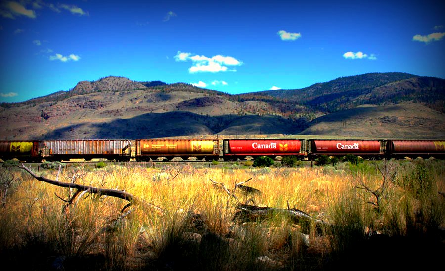 Trains roll by Juniper Beach