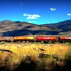 Trains roll by Juniper Beach