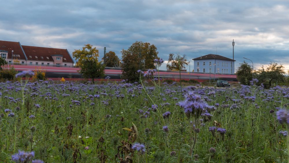 Trainstation