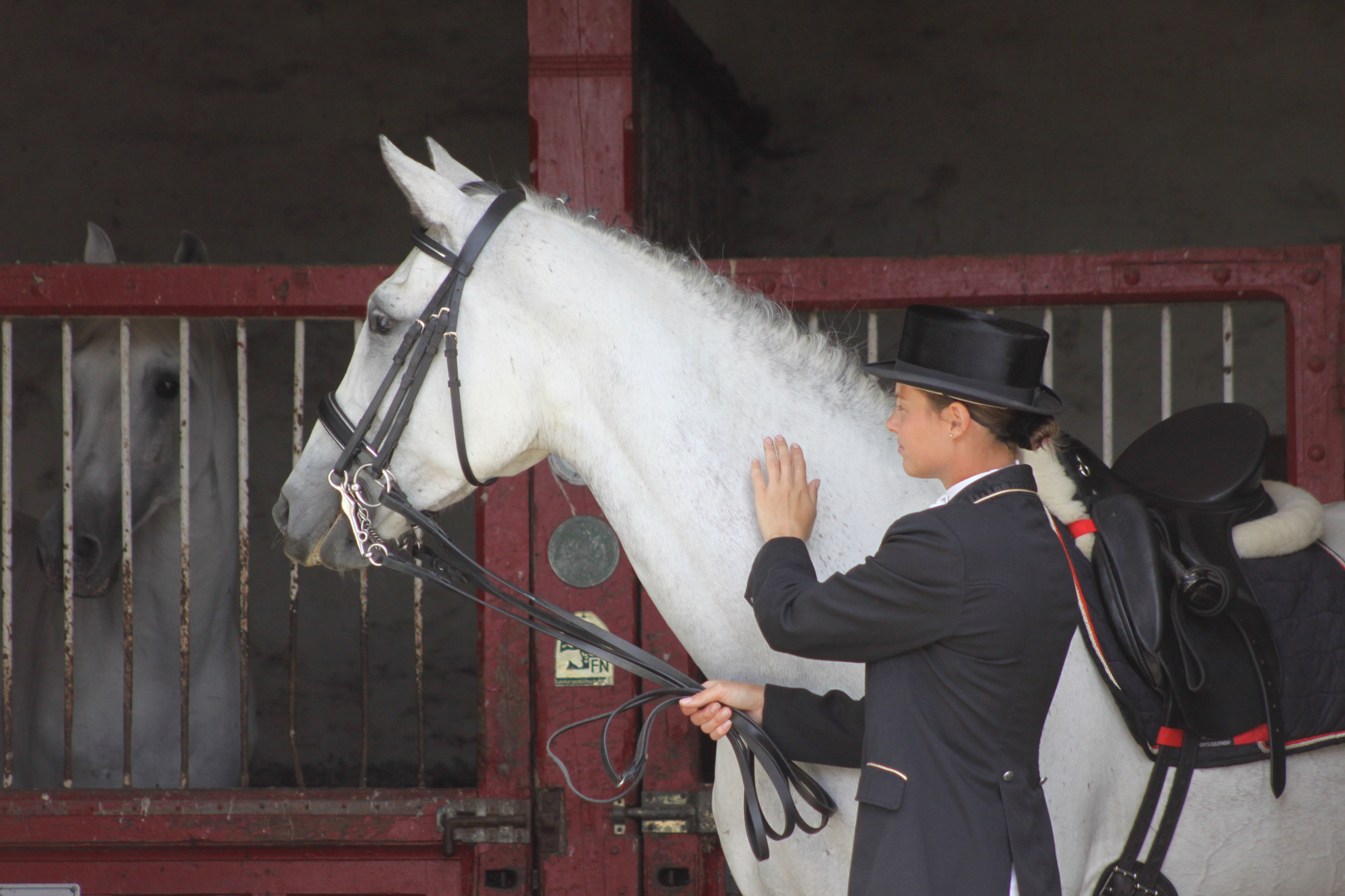 Trakehner