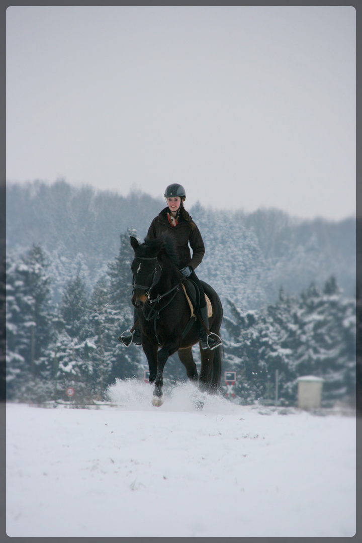 Trakehner mit Jugendlicher im Schnee