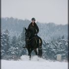 Trakehner mit Jugendlicher im Schnee