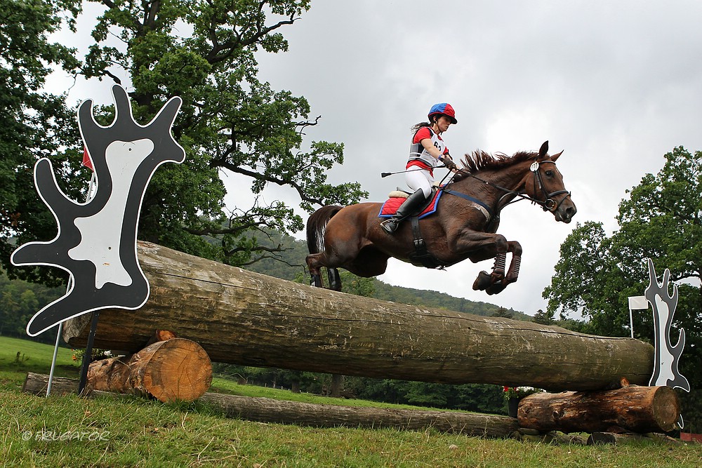 "Trakehner-Sprung"...