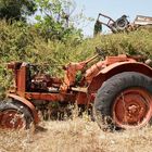 Traktor, an Bastler abzugeben