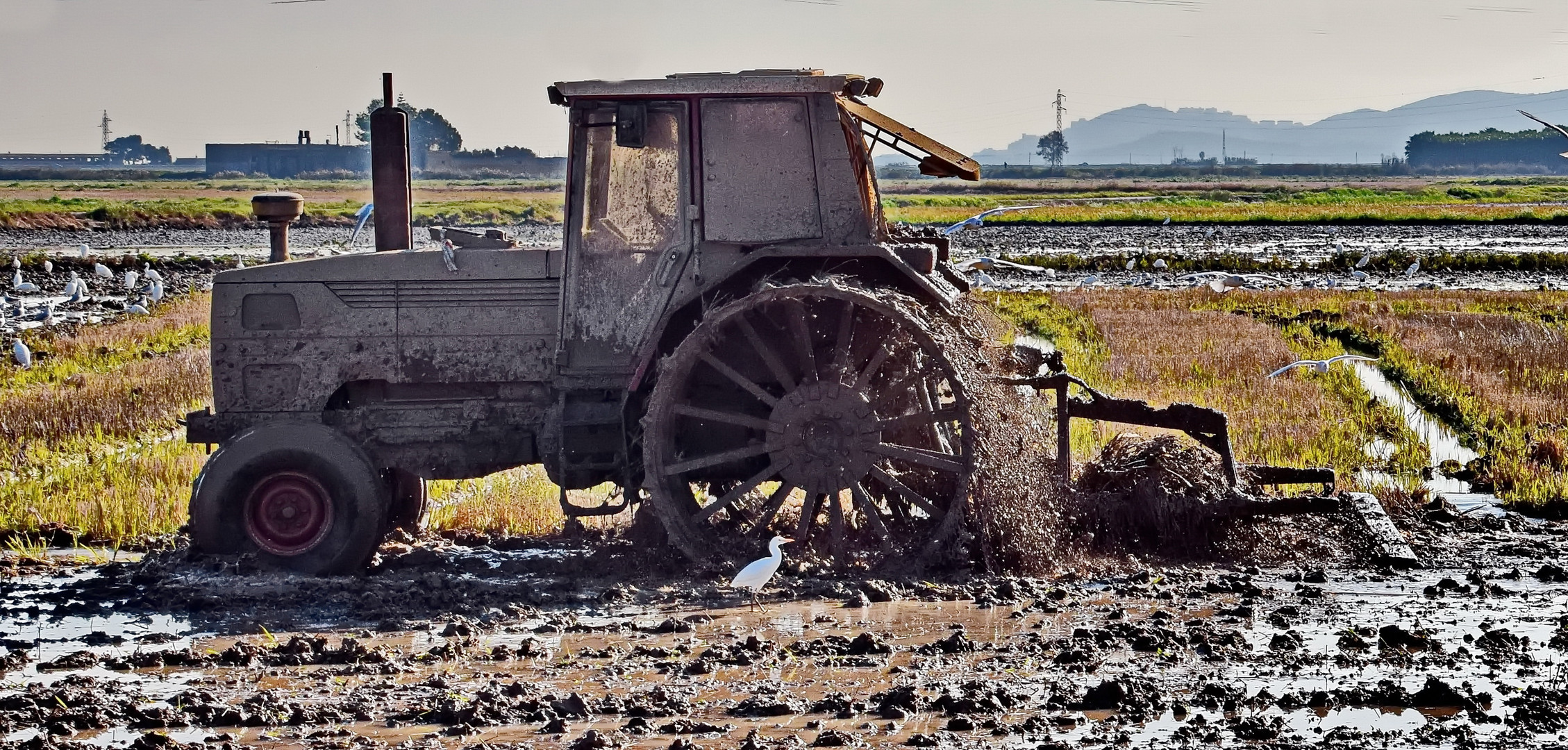 Traktor fahren mit Spaßfaktor