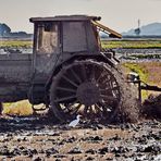 Traktor fahren mit Spaßfaktor