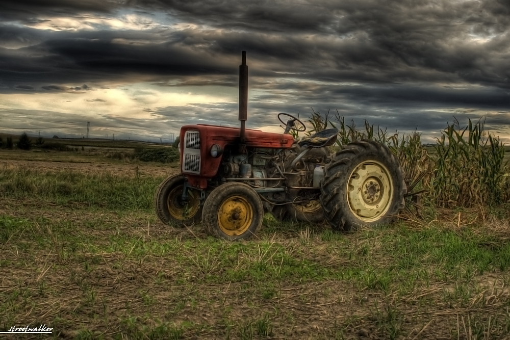 Traktor im Feld