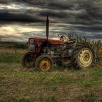 Traktor im Feld