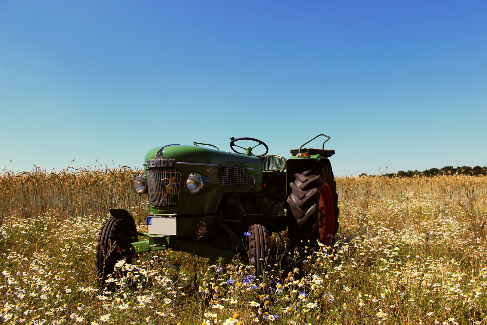 Traktor im Getreidefeld