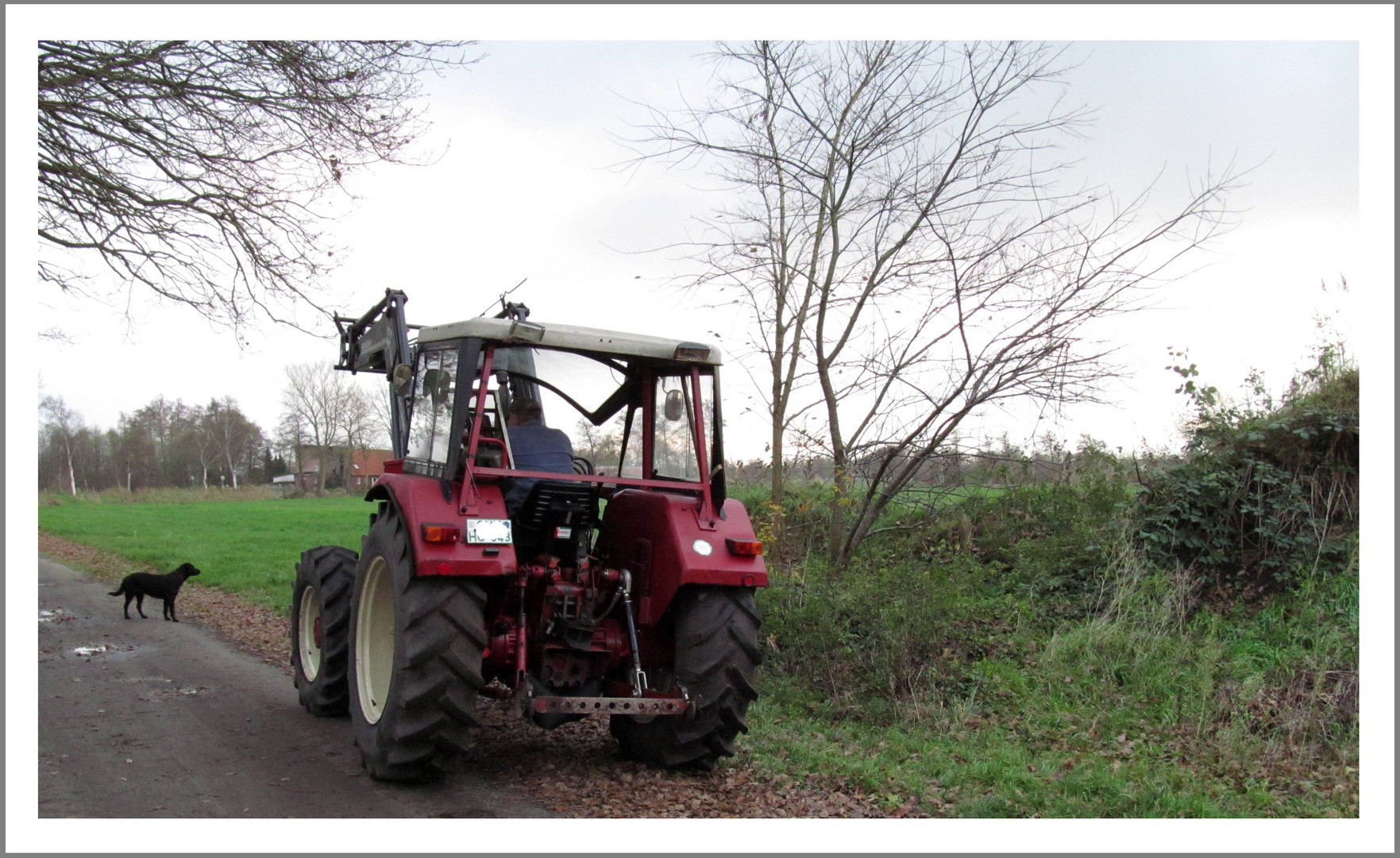 Traktor im Moor