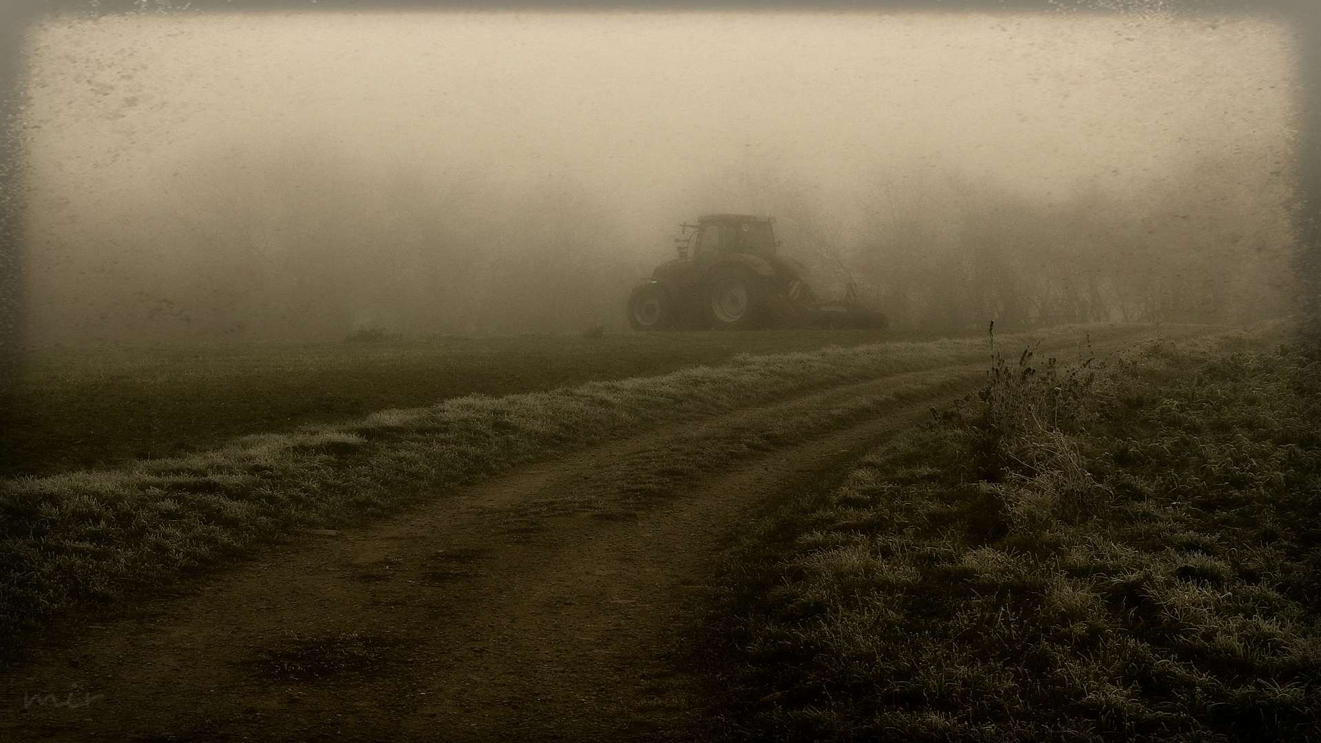 Traktor im Nebel